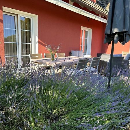 Linden Garden Apartment بوستوينا المظهر الخارجي الصورة